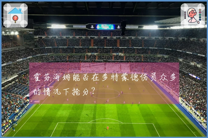 霍芬海姆能否在多特蒙德伤员众多的情况下抢分？