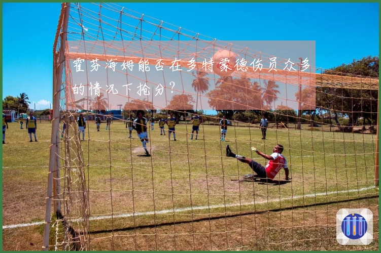 霍芬海姆能否在多特蒙德伤员众多的情况下抢分？