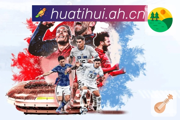 清晰易懂的解说提示